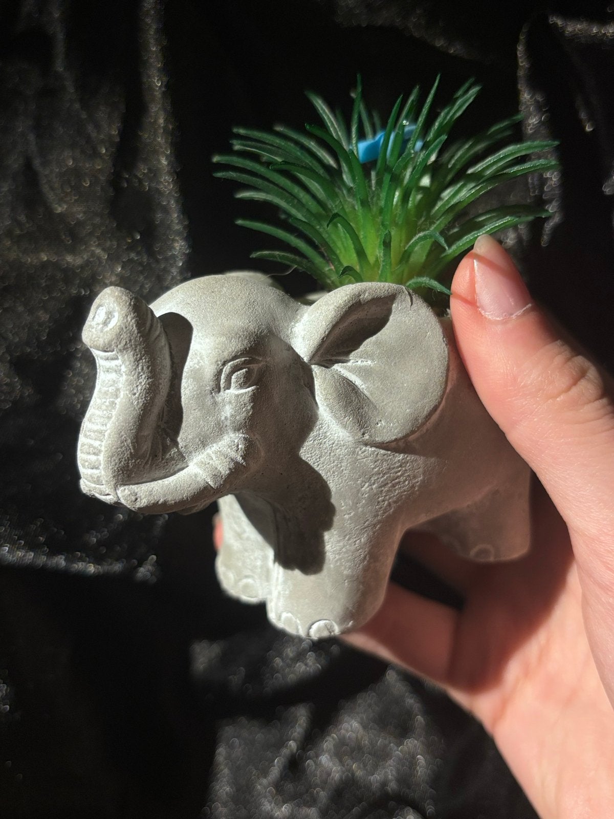 Decoratieve olifant met nepplantje, Overige stijlen, Nieuw, Ophalen of Verzenden, Grijs
