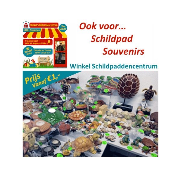 Leuke en unieke Schildpad Souvenirs (Non-profit verkoop), Ophalen, Zo goed als nieuw, Dier