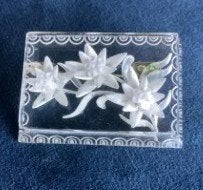 mooie vintage lucite broche met edelweiss, Sieraden, Tassen en Uiterlijk, Overige materialen, Overige kleuren, Minder dan 4 cm