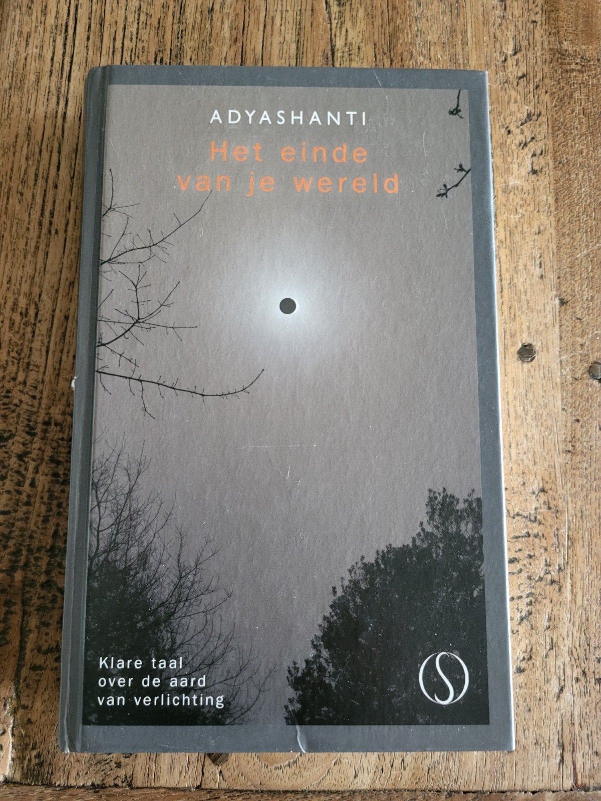 Adyashanti - Het einde van je wereld (prima staat), Boeken, Gelezen, Achtergrond en Informatie, Spiritualiteit algemeen, Adyashanti