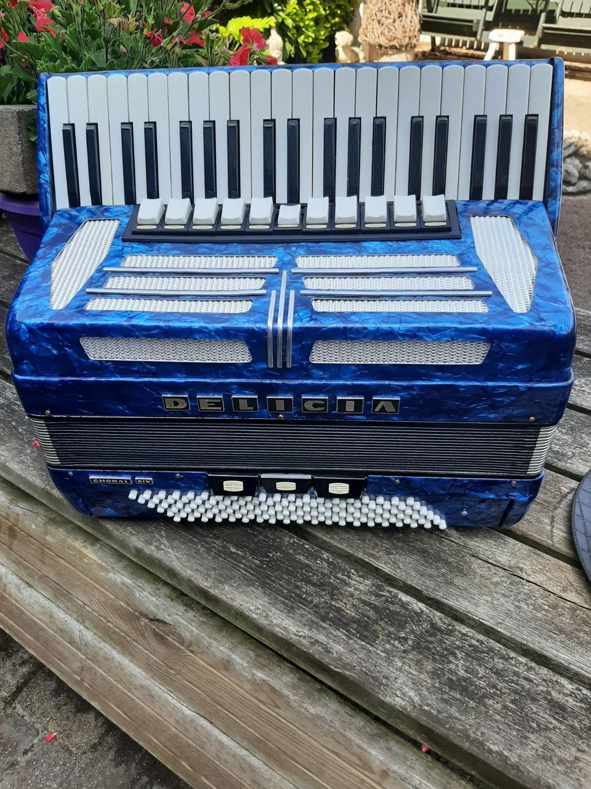 Delicia Choral XIV   zo goed als nieuw, Muziek en Instrumenten, Accordeons, Ophalen, Overige formaten, Met koffer, Toetsaccordeon