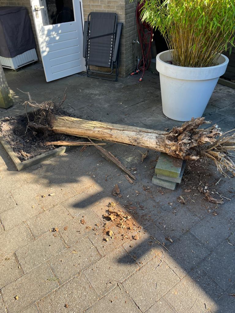 Brandhout haardhout, Minder dan 3 m³, Ophalen