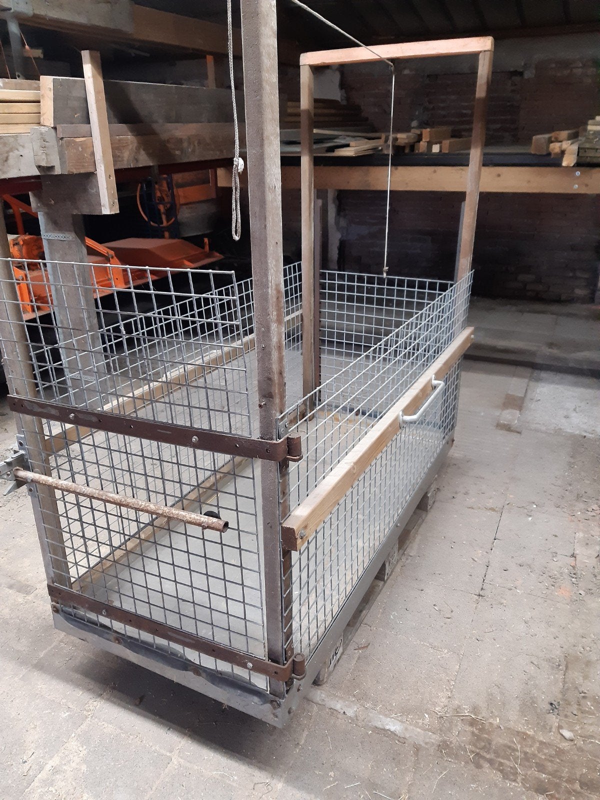 Rvs Potenbad schapen, Meerdere dieren, Schaap