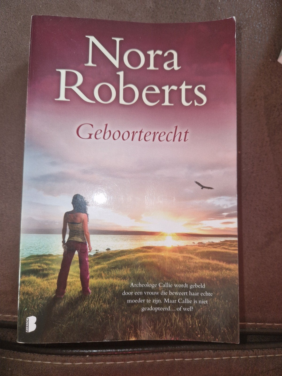 Nora Roberts - Geboorterecht (Paperback)