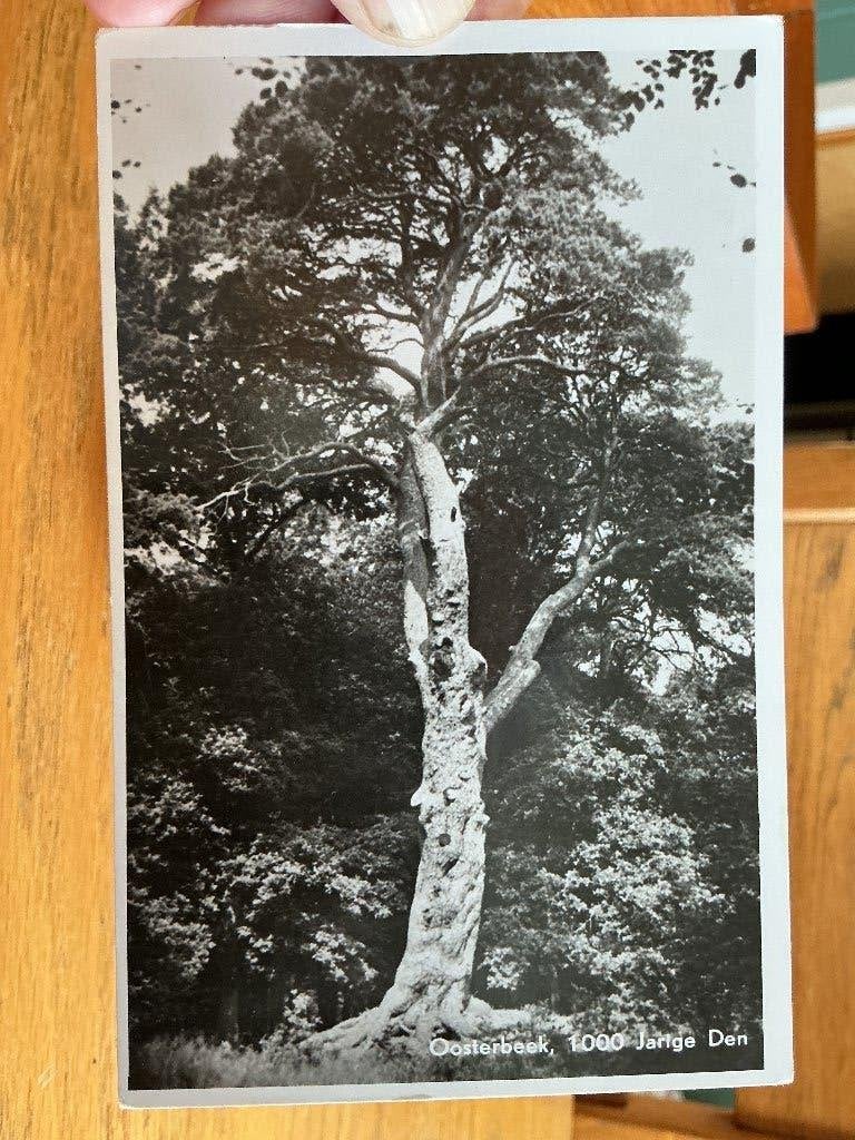 Oosterbeek, Verzenden, 1960 tot 1980, Ongelopen, Gelderland