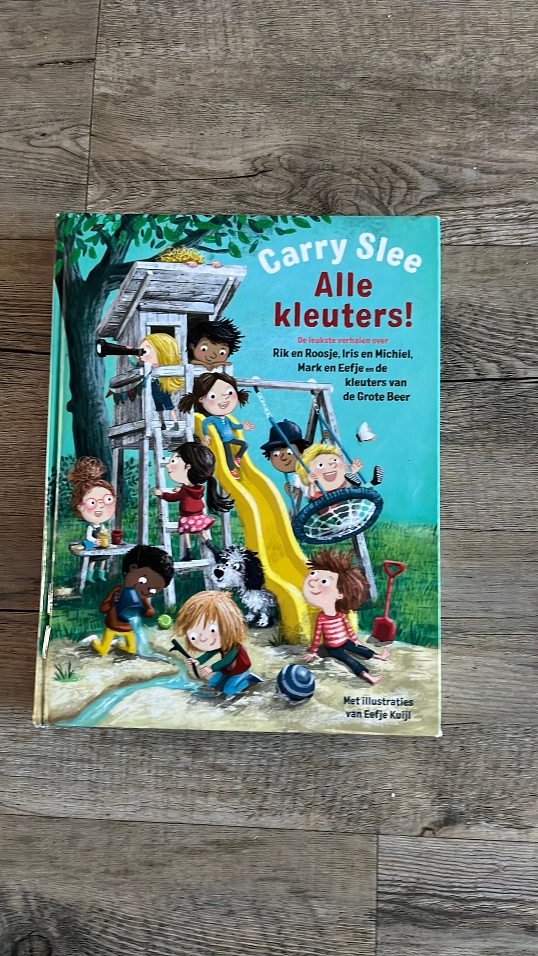 Boek carry slee alle kleuters, Ophalen of Verzenden, Zo goed als nieuw, Fictie algemeen