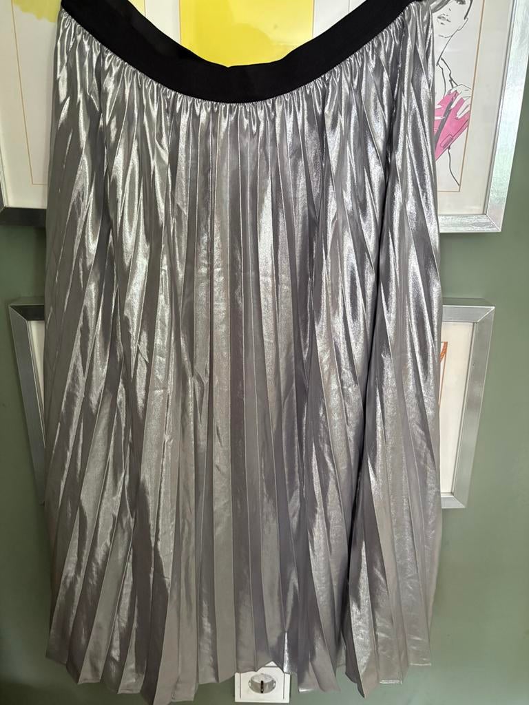 PINKO dames rok zilver maat 38/40/42, Maat 38/40 (M), Overige kleuren, Verzenden, Nieuw