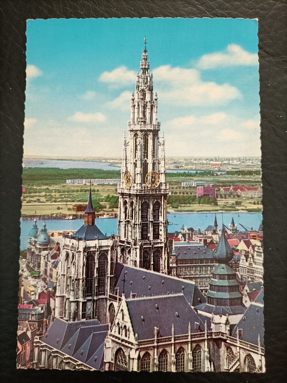Antwerpen / Anvers. Kathedraal, Ophalen of Verzenden, 1940 tot 1960, Gelopen, Antwerpen