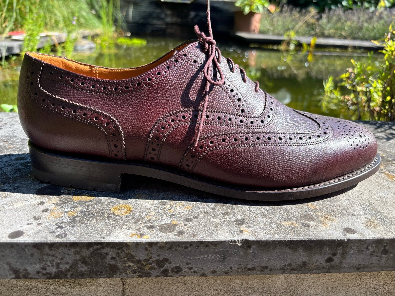 NIEUW ongedragen Van Bommel  - Bordeauxrode Brogues mt 11,5, Kleding | Heren, Ophalen, Nieuw, Overige kleuren, Veterschoenen
