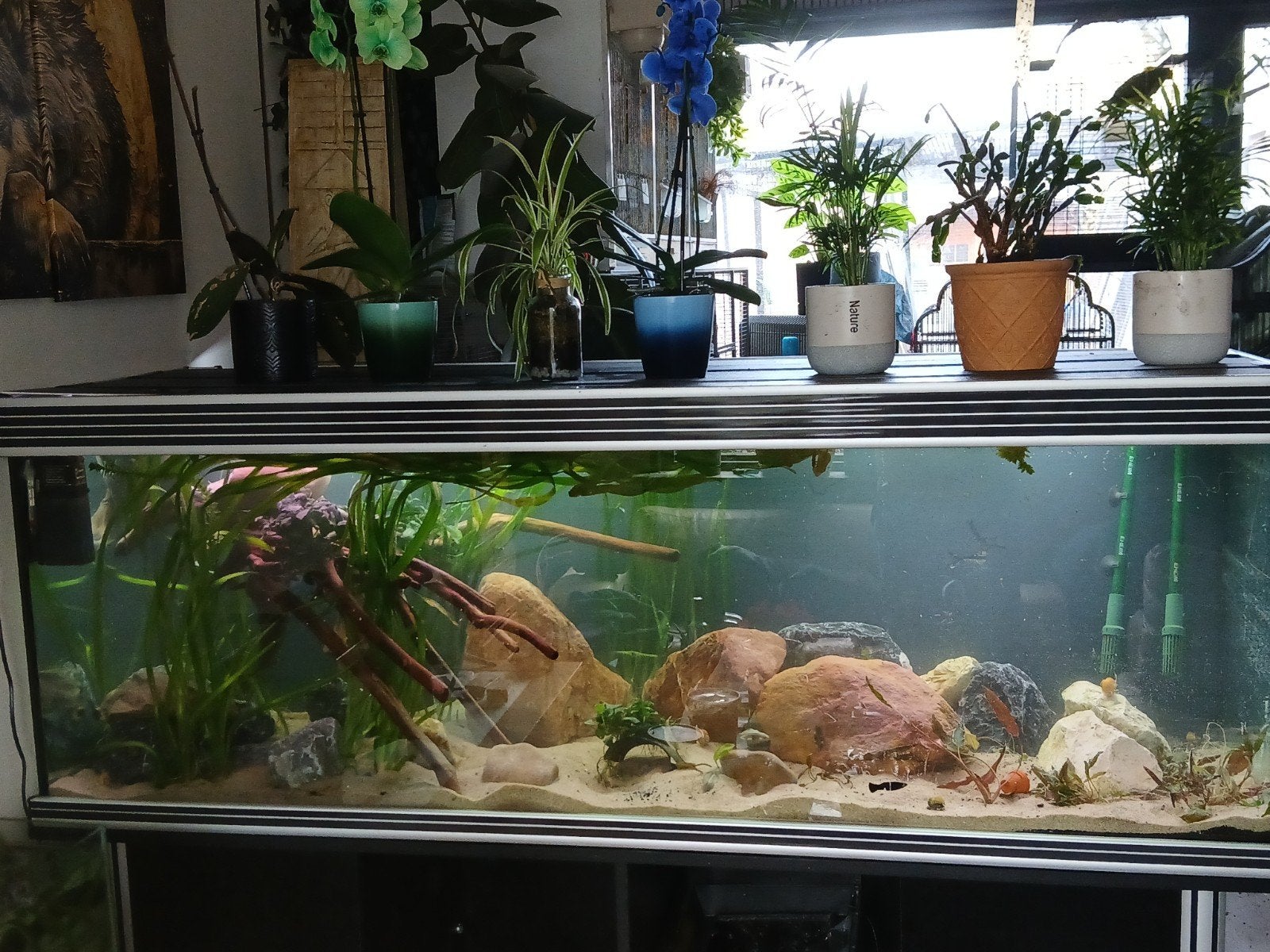 Aqua atlantis 1.8 meter aquarium, Ophalen of Verzenden, Zo goed als nieuw, Leeg aquarium