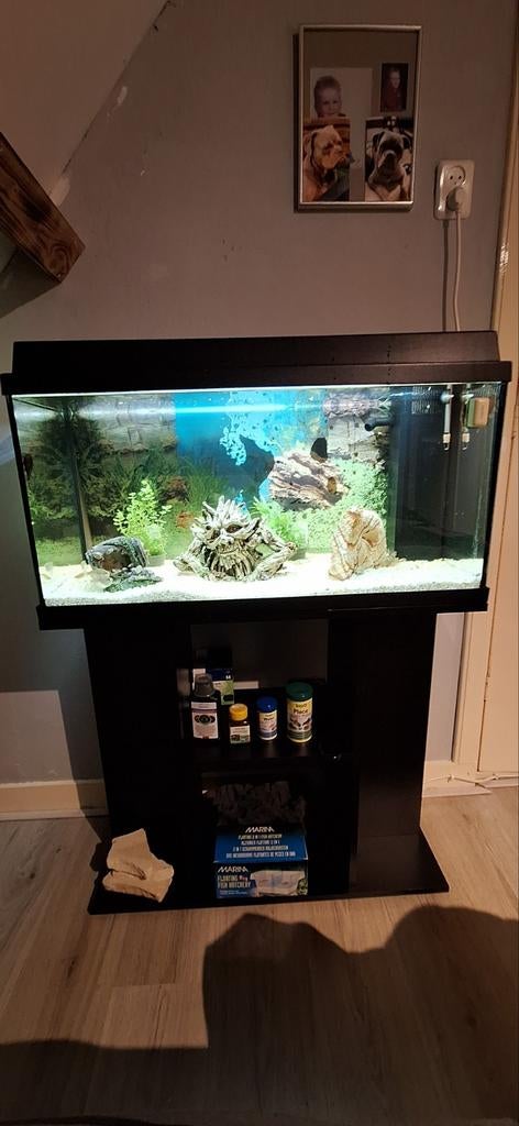 juwel aquarium, Dieren en Toebehoren, Ophalen of Verzenden, Leeg aquarium