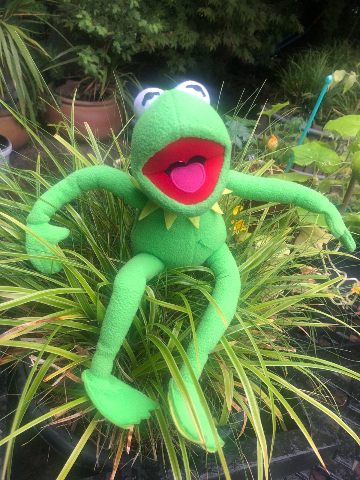 Kermit de Kikker Knuffel - The Muppets, Kikker, Groen, Overige merken, Overige karakters