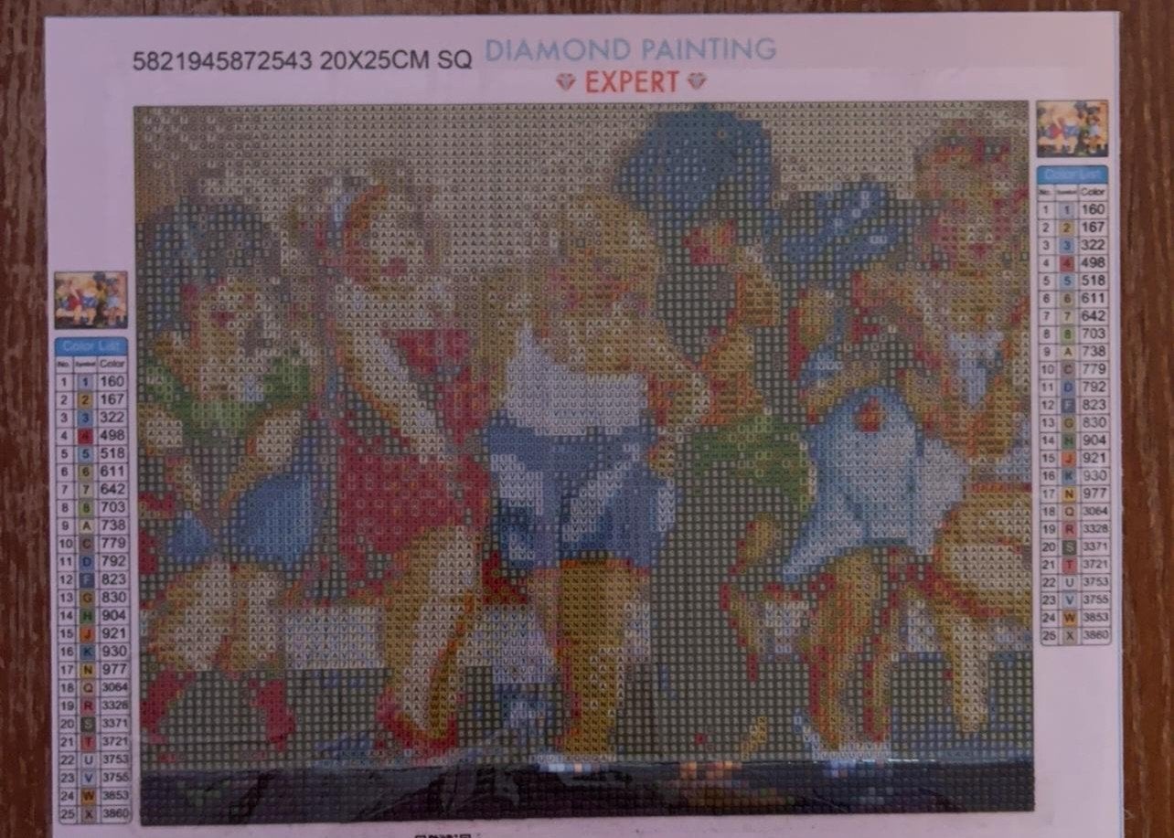 Te koop daimond painting. Dikke Dames, Ophalen of Verzenden, Zo goed als nieuw, Knutselwerk