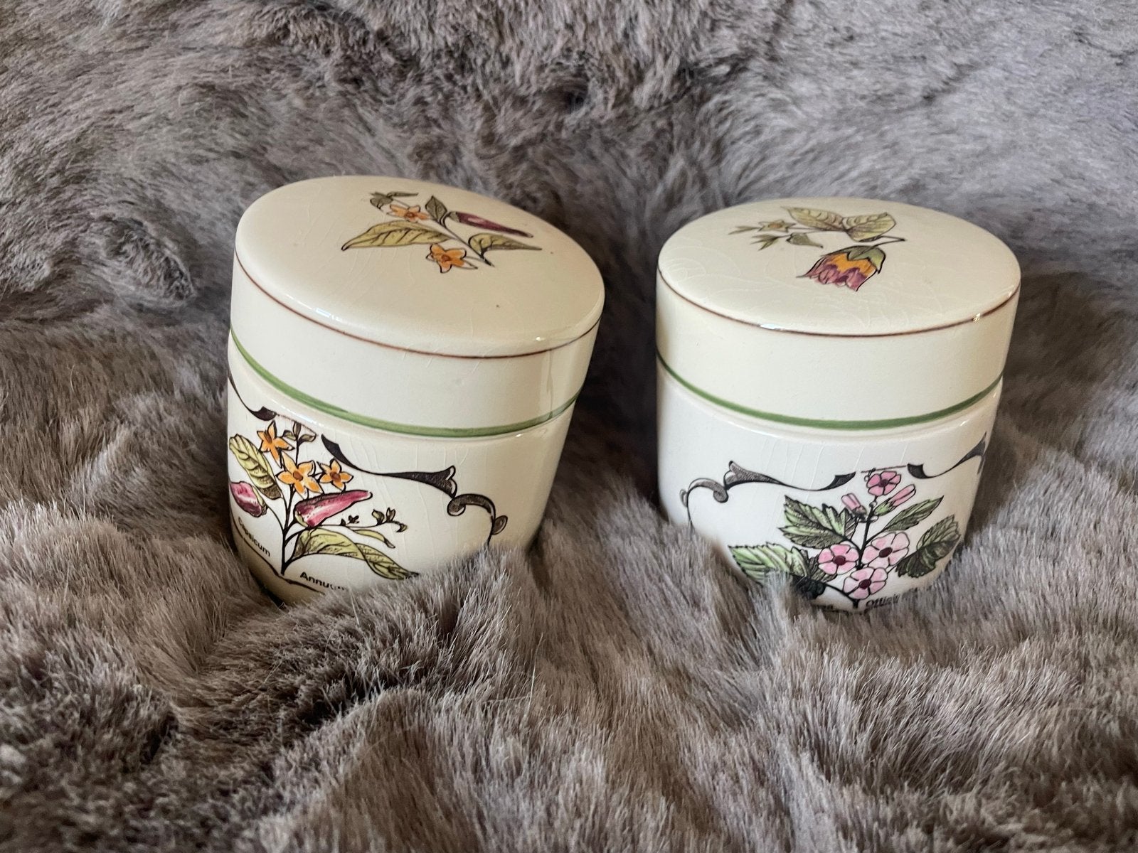 Set van 2 vintage kruidenpotjes - OPG Holland, Ophalen of Verzenden