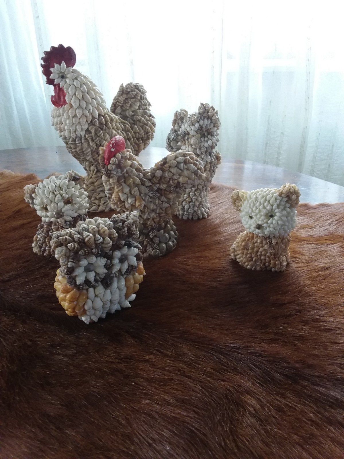 Schelpen dieren, Verzamelen, Mineralen en Fossielen, Ophalen of Verzenden, Schelp(en)