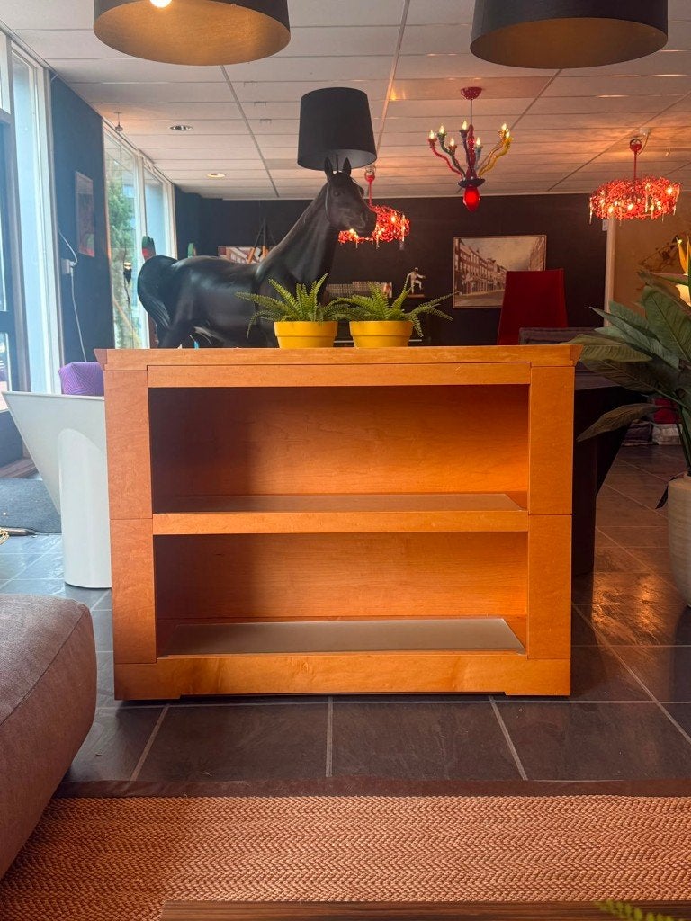 Giorgetti Progetti Oli kast klein bij TheReSaels, Ophalen, 100 tot 150 cm, Design, Zo goed als nieuw