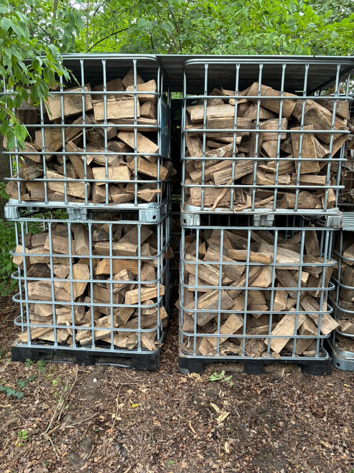 Brandhout / Haardhout - Eiken, Beuken en Essen, 6 m³ of meer, Ophalen, Beukenhout, Blokken