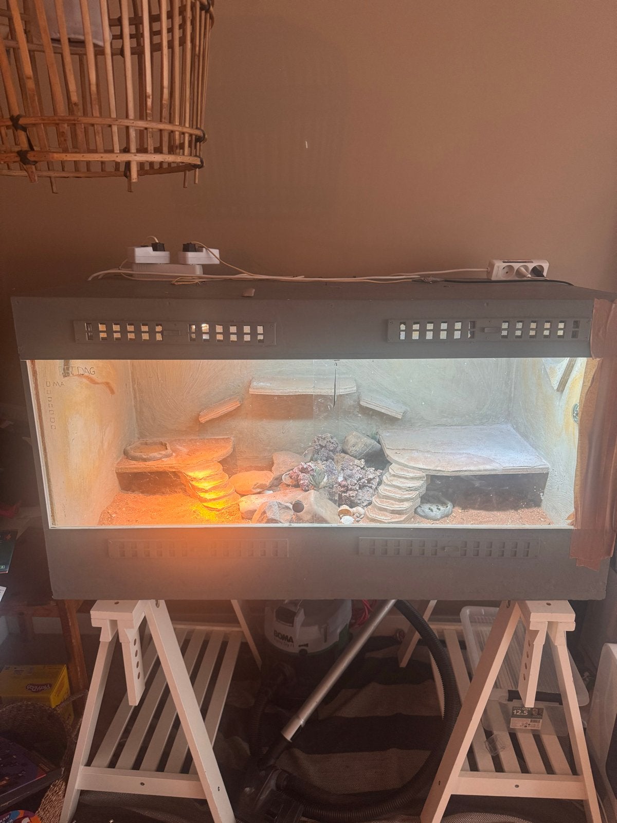 Groot terrarium voor Baardagaam, Ophalen, Gebruikt, Terrarium of Paludarium