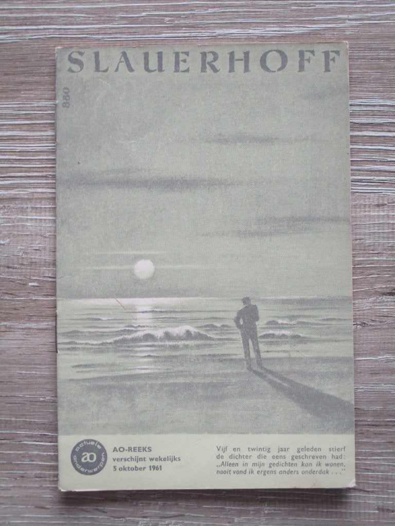 AO 880 Slauerhoff, Boeken, Ophalen of Verzenden, Gelezen, Europa