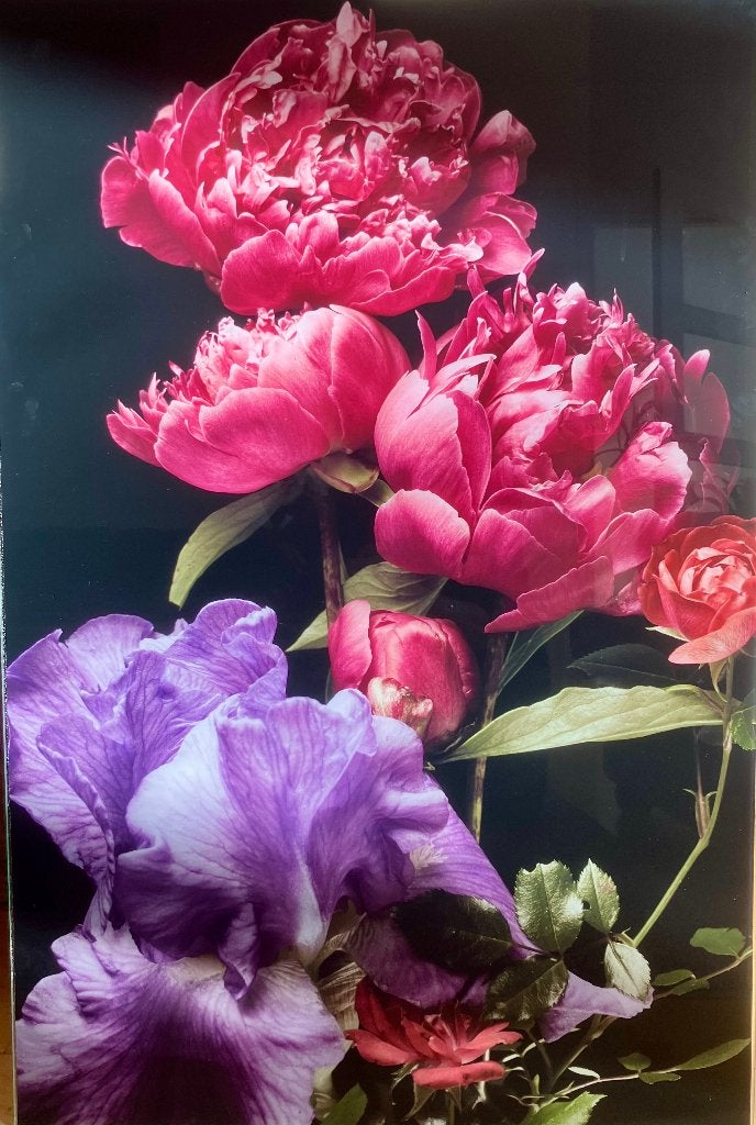 Glasschilderij met pioenrozen en Iris – 90 x 60 cm, Ophalen, Zo goed als nieuw, Schilderij, 75 – 100