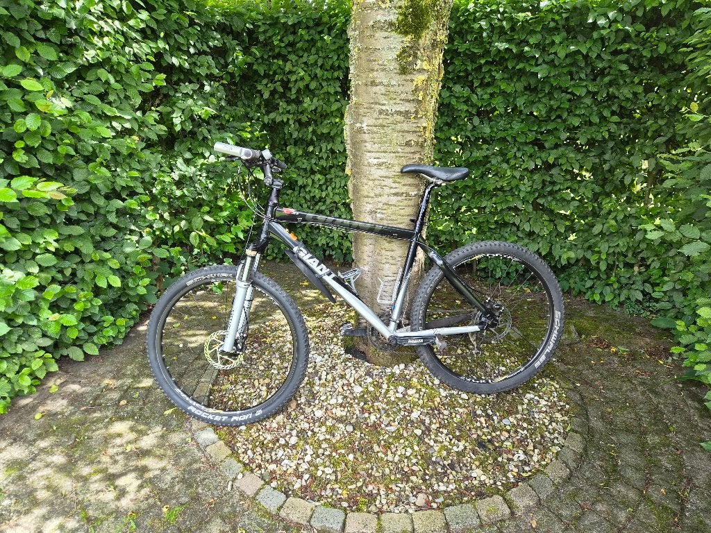 Giant Aluxx Butted Aluminium MTB (maat L), Ophalen, Gebruikt, Schijfrem, Giant