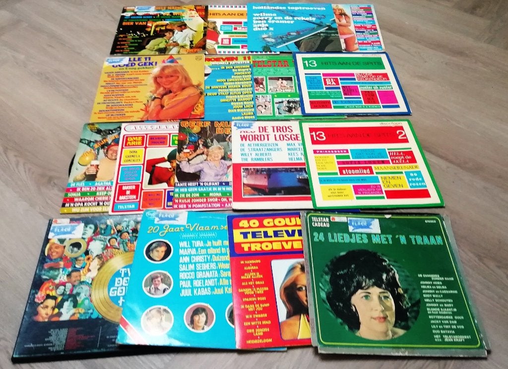 13 enkele + 4 dubbele Vinyl LP oude Nederlandstalige liedjes, Ophalen of Verzenden, Gebruikt, 12 inch, Levenslied of Smartlap