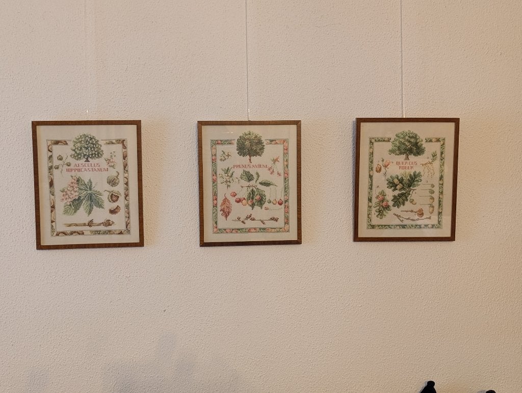 3 ingelijste borduurwerken over bomen, Ophalen of Verzenden, Zo goed als nieuw, Handborduren, Overige typen