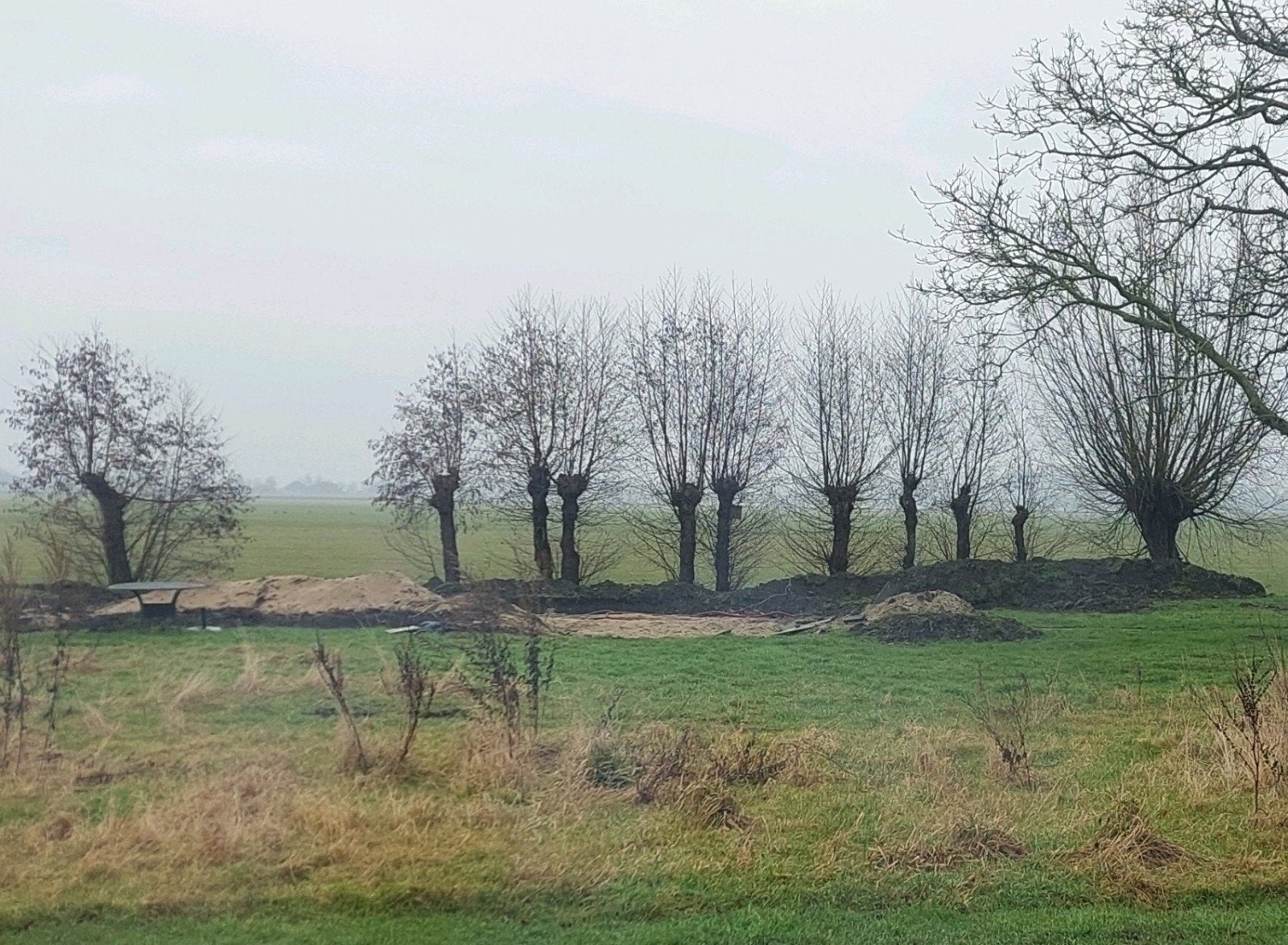 10 zwarte elzen 1 knotwilg, Ophalen