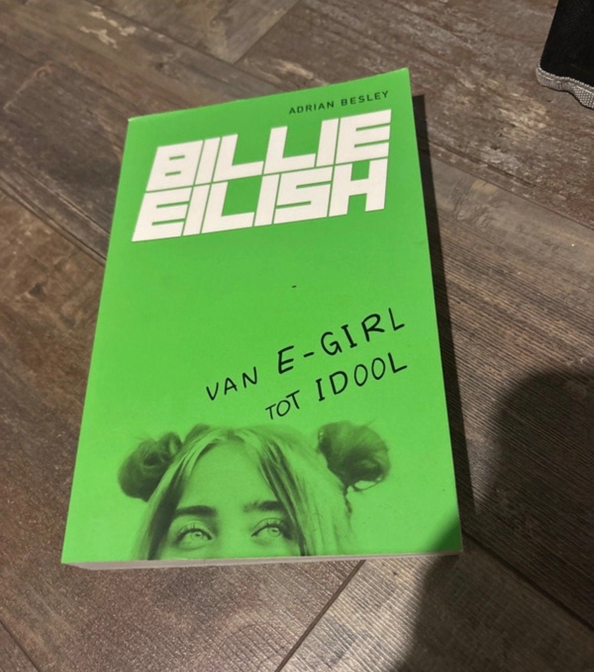 Billie Eilish: Van E-Girl tot Idool - Adrian Besley, Boeken, Ophalen of Verzenden, Zo goed als nieuw, Overige