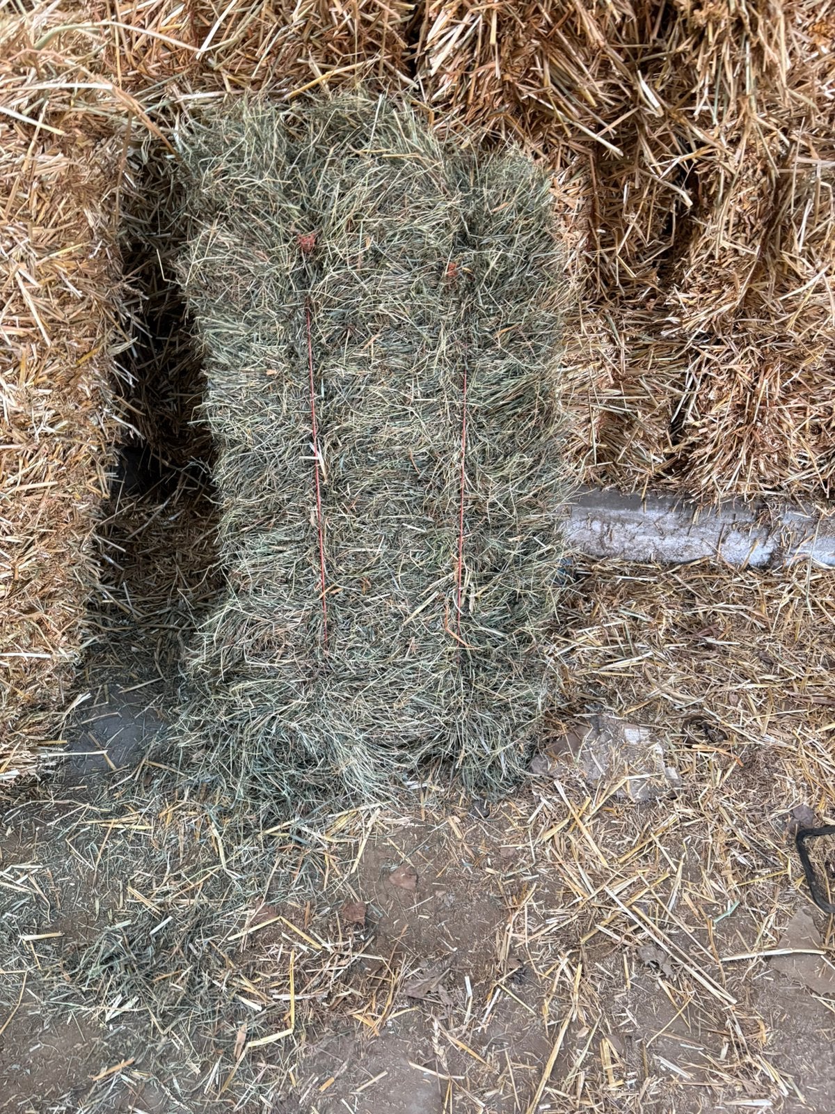 Fijn hooi ,, Dieren en Toebehoren, Ophalen, Vee