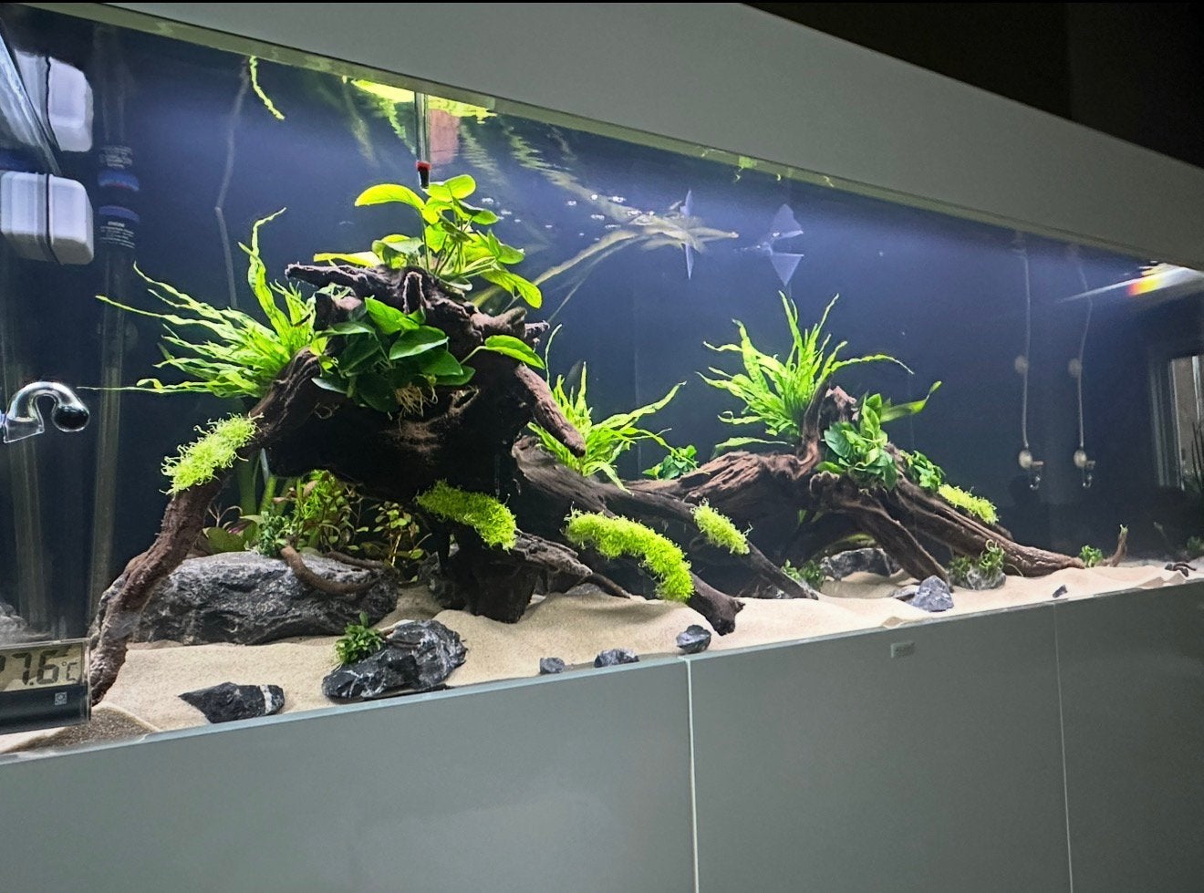Aquaja aquarium, Dieren en Toebehoren, Ophalen, Gebruikt, Inclusief deksel, Gevuld zoetwateraquarium