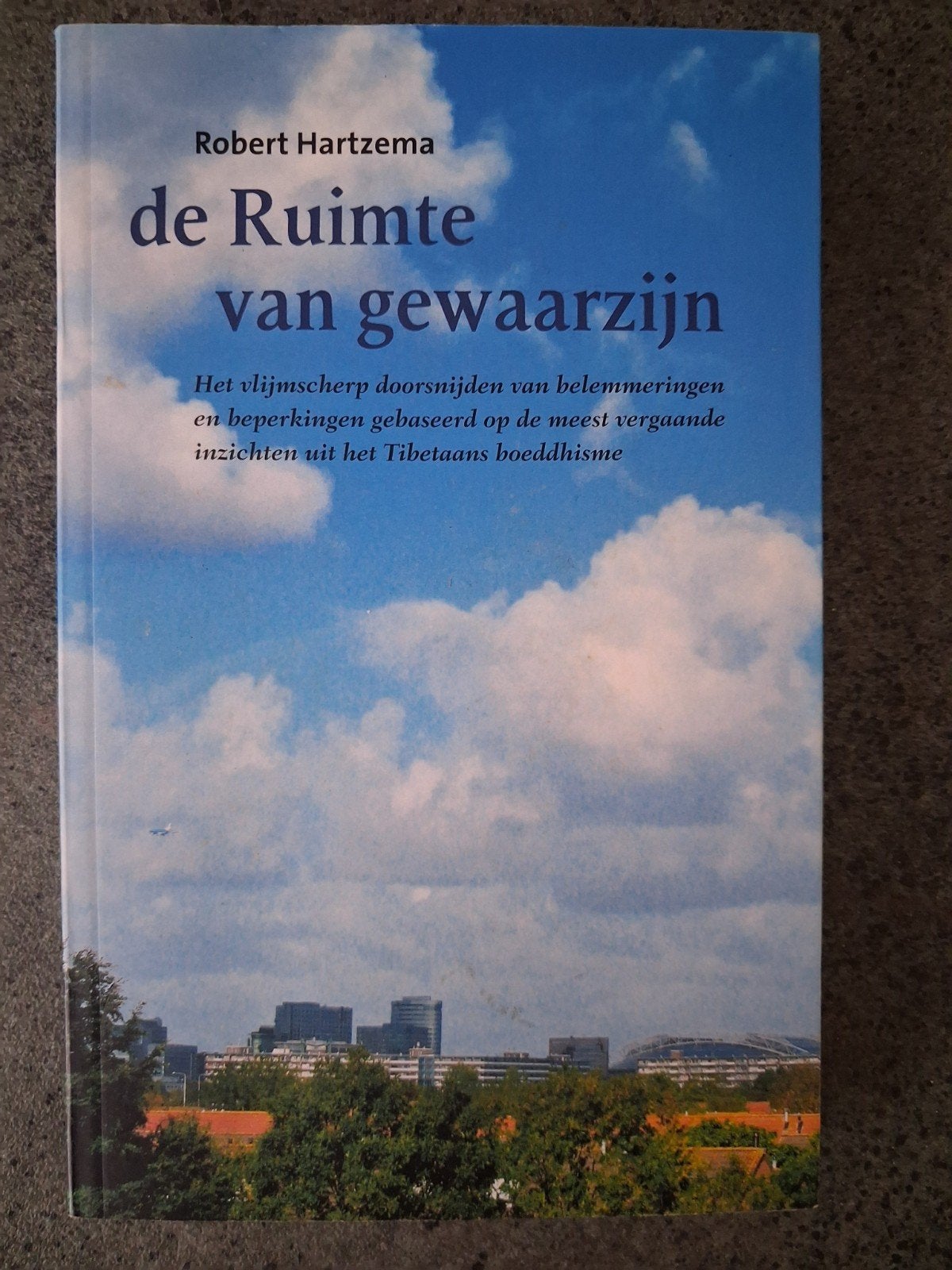 Robert Hartzema - De ruimte van gewaarzijn, Robert Hartzema, Nieuw, Ophalen of Verzenden, Boeddhisme