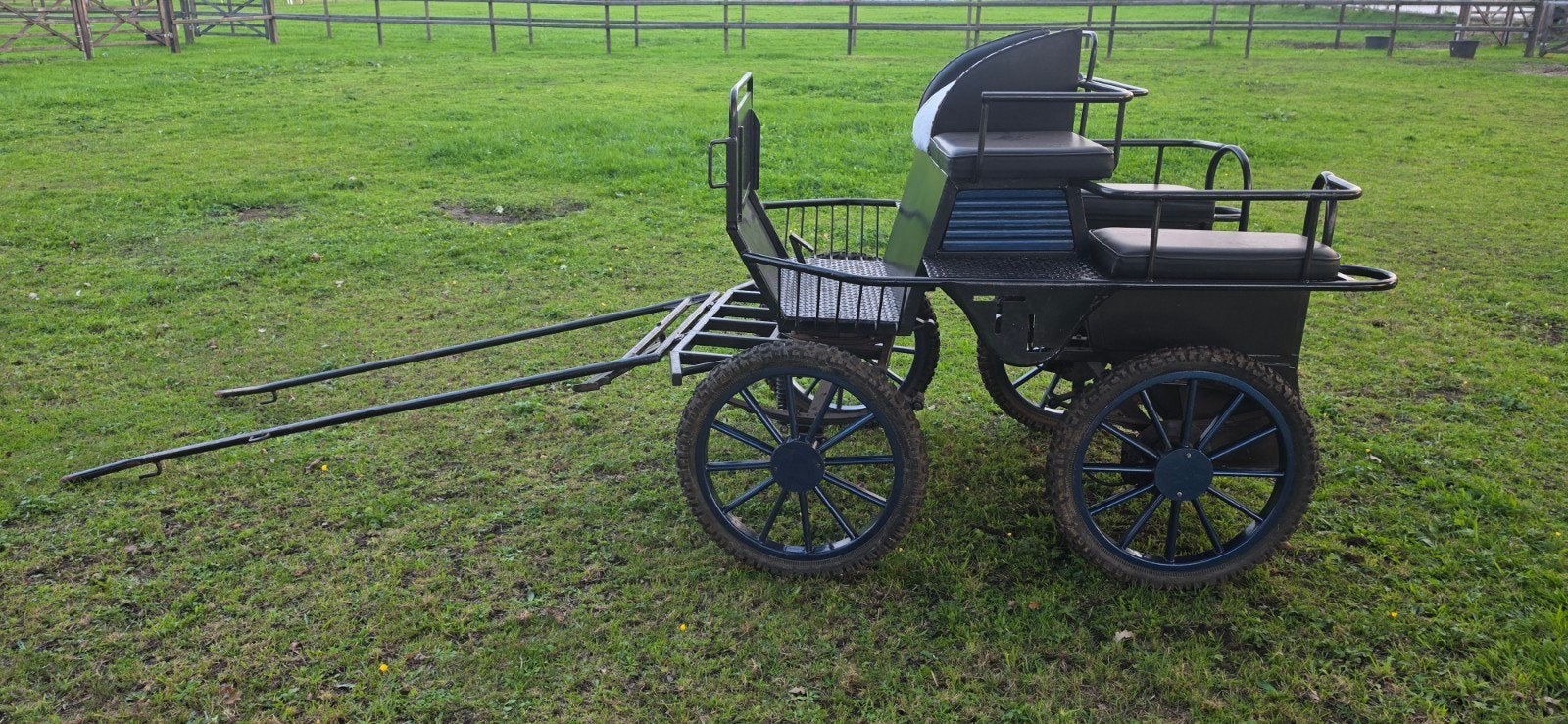 Prachtige marathonwagen geschikte voor grote pony en paard, Gebruikt, Marathonwagen, Paard of Pony