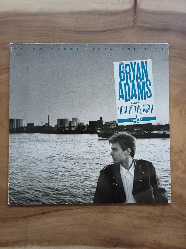 Bryan Adams - Into the Fire - Vinyl, Ophalen of Verzenden, Gebruikt