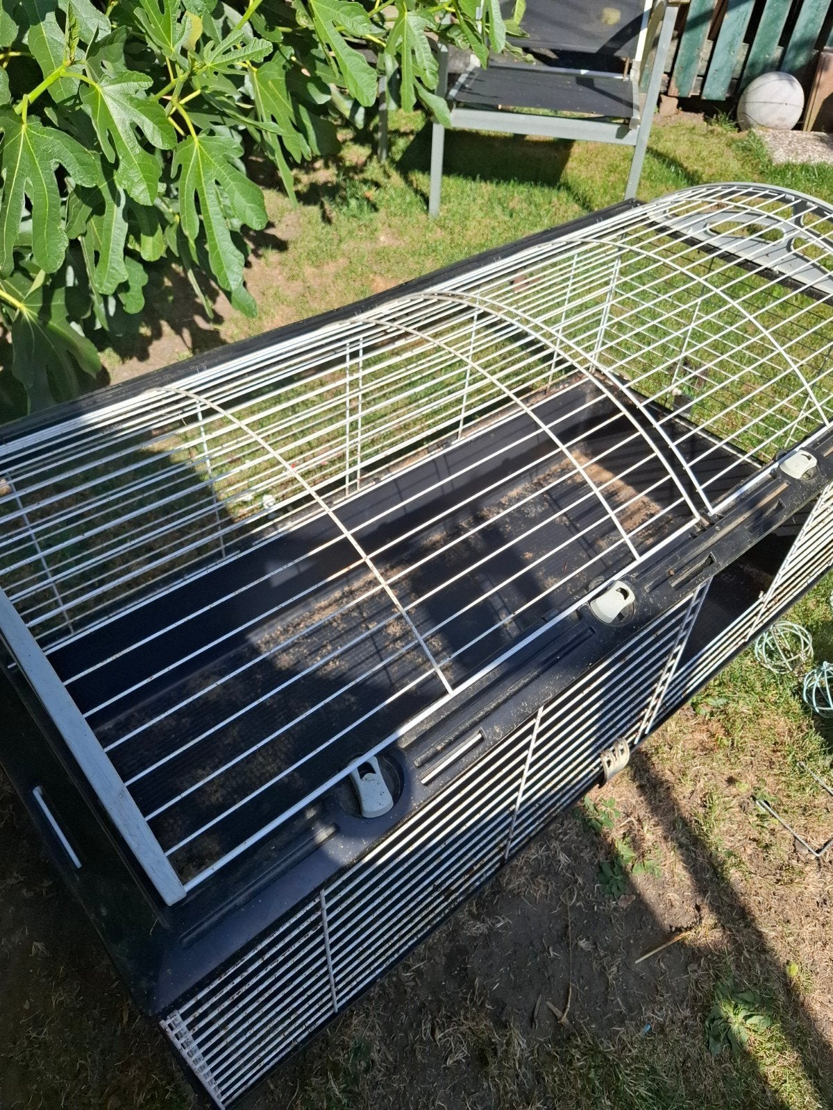 Cavia kooi, Dieren en Toebehoren, Knaagdieren en Konijnen | Hokken en Kooien, Kooi, 75 tot 110 cm, Cavia, Ophalen