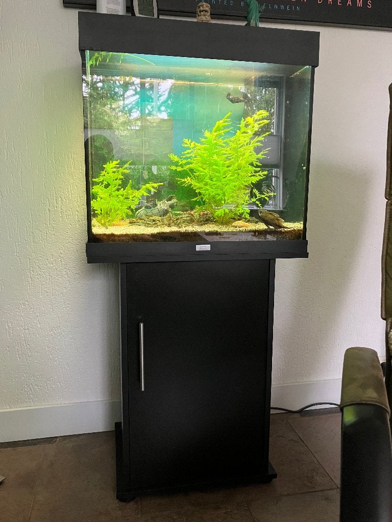 Aquarium compleet te koop, Dieren en Toebehoren, Ophalen, Gebruikt, Gevuld zoetwateraquarium, Inclusief vissen