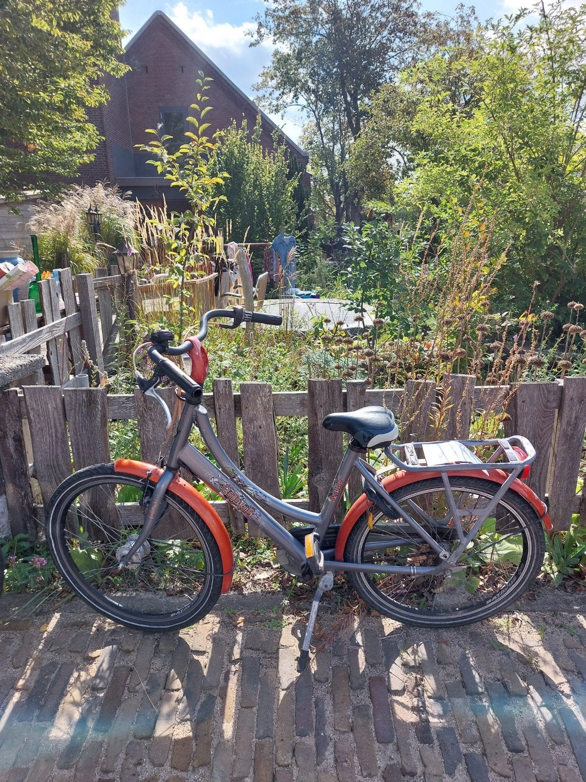 Batavus Amigo damesfiets - Gebruikt, Ophalen, Gebruikt, Batavus, Terugtraprem