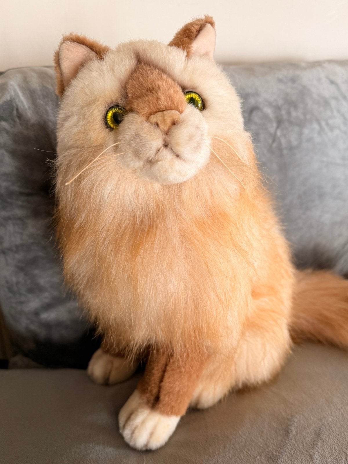 Anna Pluche Club knuffel Poes- collectors item, Verzamelen, Ophalen of Verzenden, Zo goed als nieuw, Overige typen, Overige merken