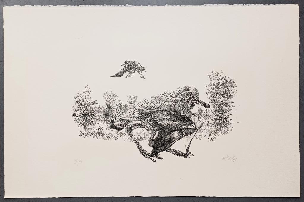 Peter Vos - gesigneerde litho, Ophalen of Verzenden