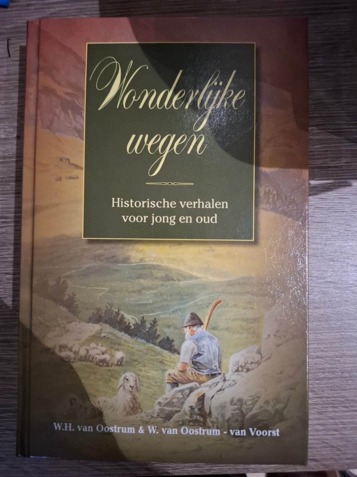 Wonderlijke Wegen: Historische verhalen voor jong en oud, Boeken, Geschiedenis | Stad en Regio, Ophalen of Verzenden, 20e eeuw of later
