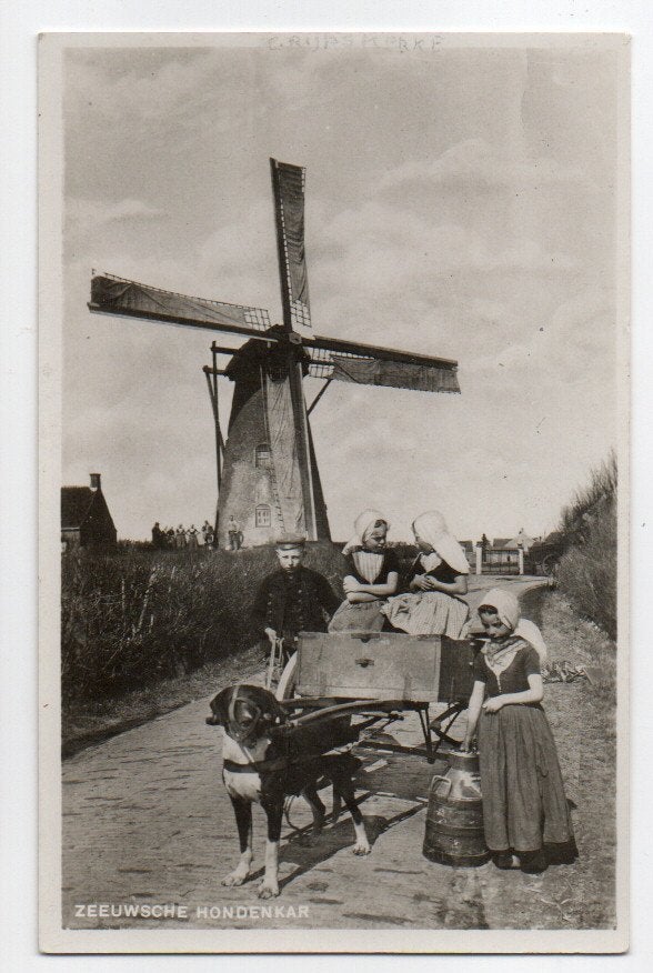 Zeeuwsche Hondenkar bij molen Grijpskerke (klederdracht), Ophalen of Verzenden, 1920 tot 1940, Ongelopen, Zeeland