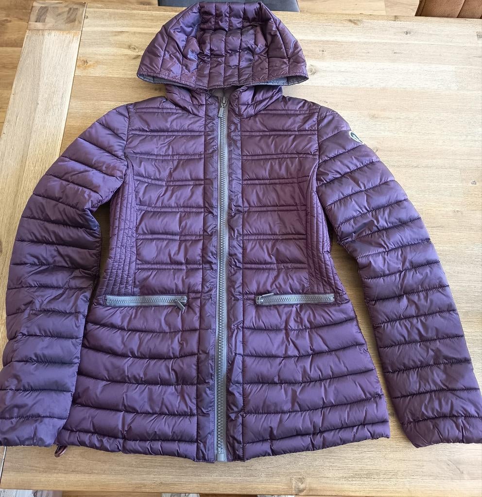 Us polo assn gewatteerde damesjas maat 42, Kleding | Dames, Ophalen of Verzenden, Zo goed als nieuw, Maat 42/44 (L), Paars