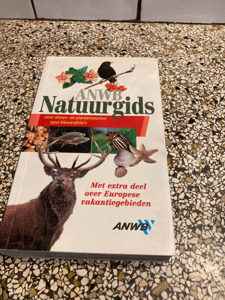 ANWB natuurgids, Boeken, Ophalen of Verzenden, Zo goed als nieuw, Vogels