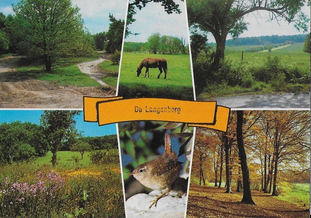 Rijssen De Langenberg Ansichtkaart uit 1976 ( A375 ), Ophalen of Verzenden, 1960 tot 1980, Gelopen