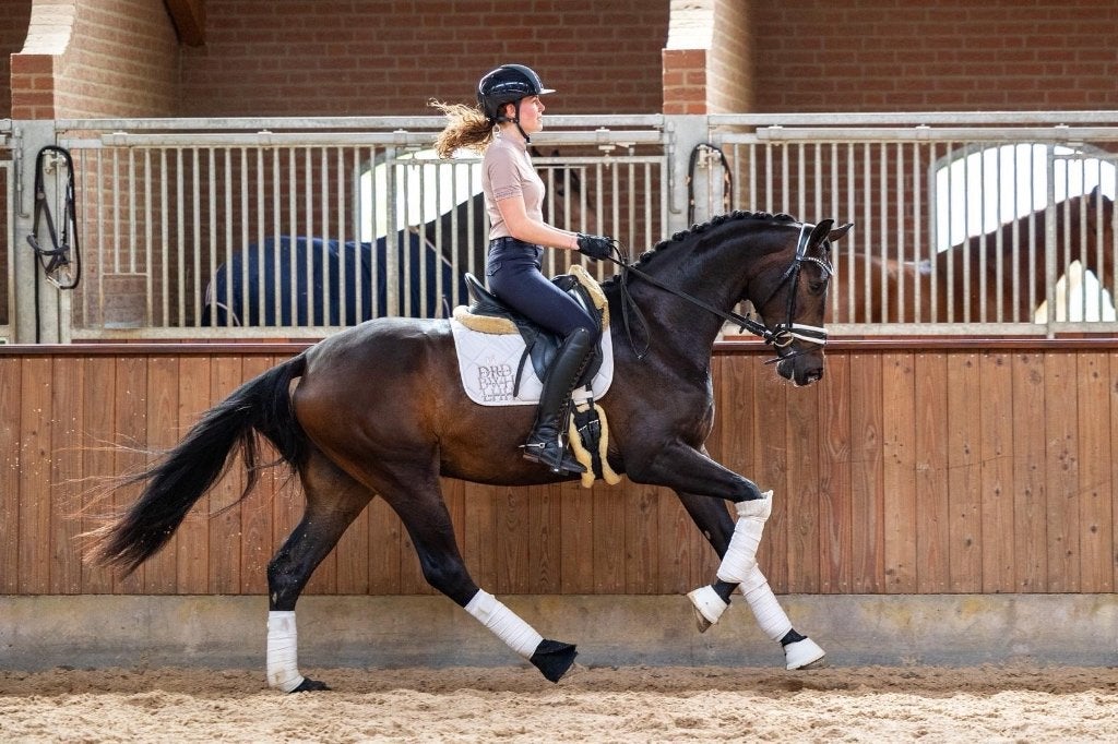 Knappe fijne merrie met top karakter, Dieren en Toebehoren, Paarden, Merrie, B, 165 tot 170 cm, 3 tot 6 jaar, Dressuurpaard, Met stamboom