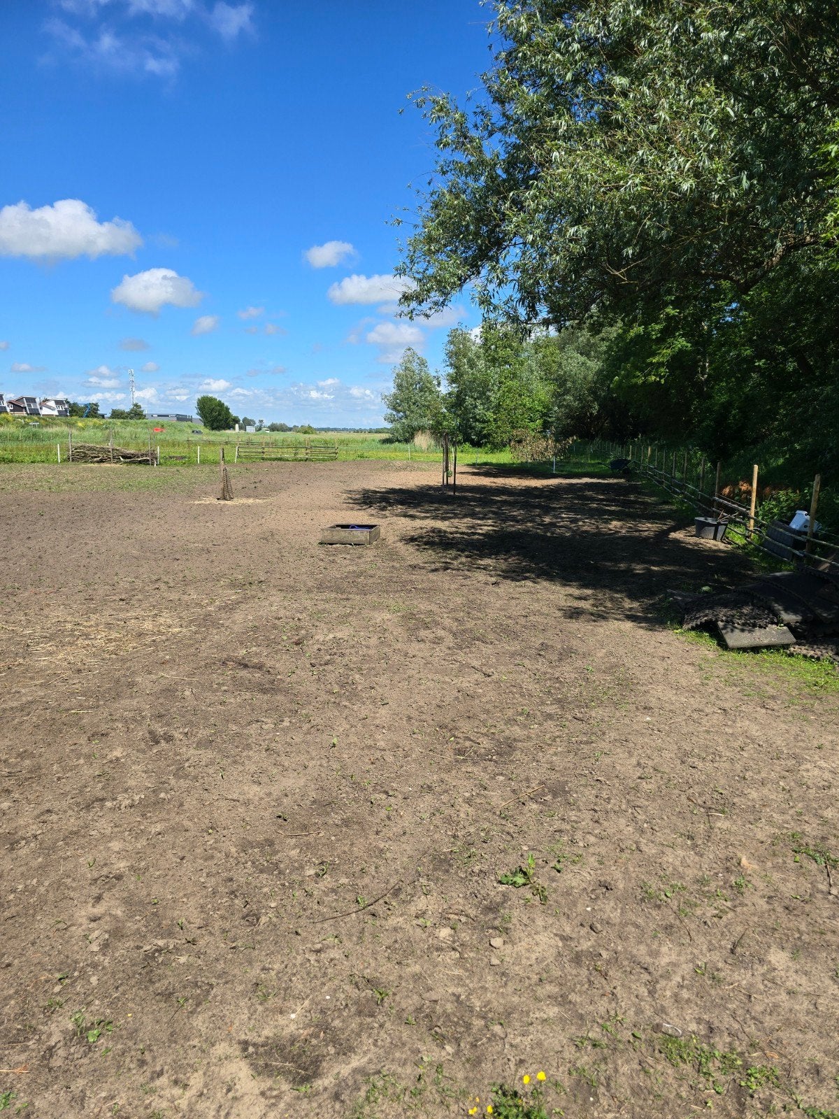 Plek voor merrie op paardenparadijs in opbouw