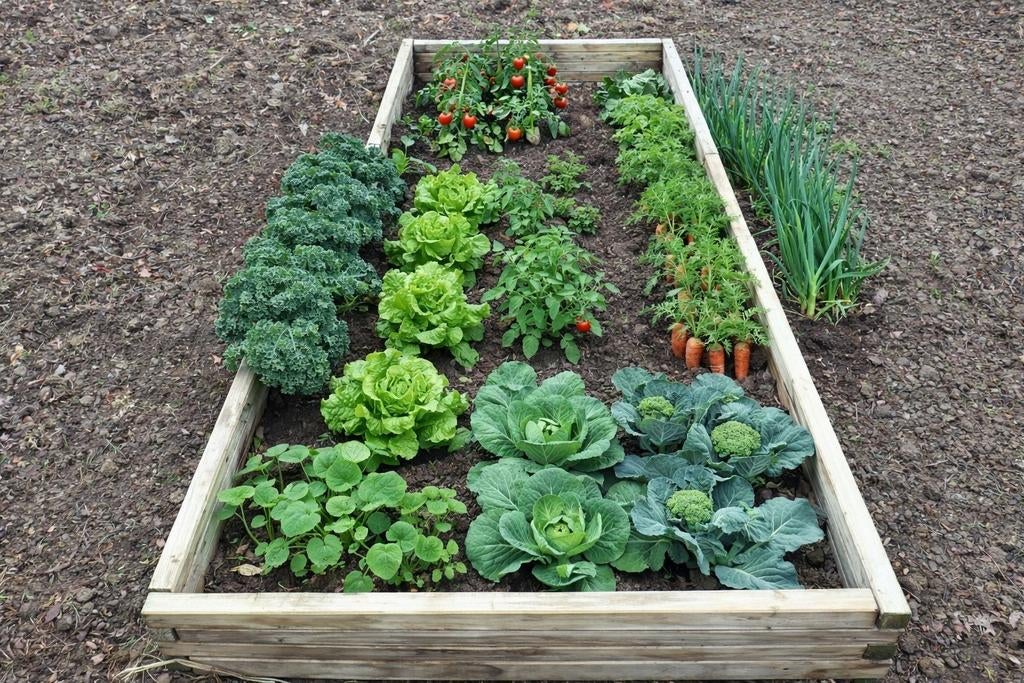 Moestuinbak, Ophalen, Minder dan 30 cm, Zo goed als nieuw, Rechthoekig