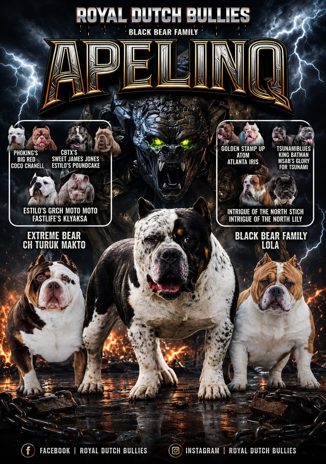 American bully extreem standaard dekreu, Dieren en Toebehoren, Reu, 1 tot 2 jaar, Parvo, Eén hond