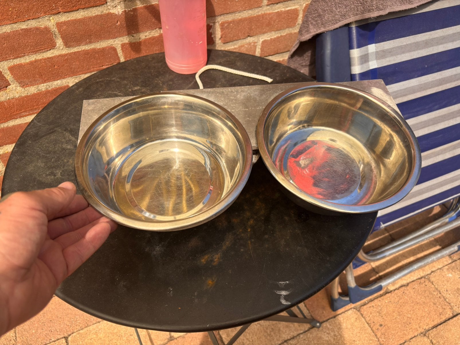 Drink en eten beugels, Ophalen of Verzenden, Nieuw