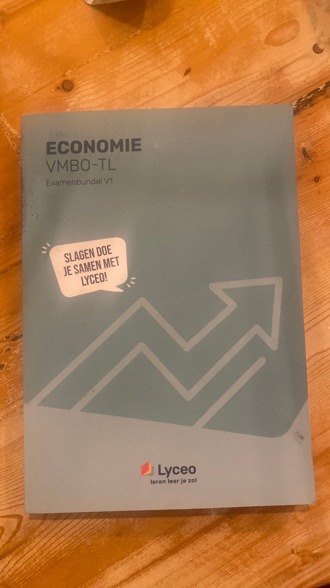 Vmbo-T Examenbundel LYCEO economie, Boeken, Schoolboeken, Ophalen of Verzenden, Zo goed als nieuw